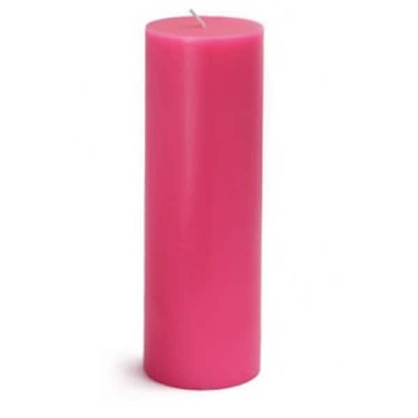 Zest Candle CPZ-095-12 3 x 9 in. Hot Pink Pillar Candles, 12PK CPZ-095_12 - main